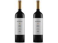 PACK INTIPALKA TANNAT 750ML